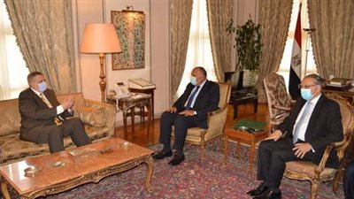 شكري يبحث مع كوبيتش تطورات الأزمة الليبية