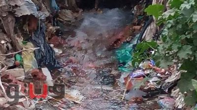 أهالي بلاي في الغربية تناشد شركة المياه بحل أزمة الماسورة المكسورة