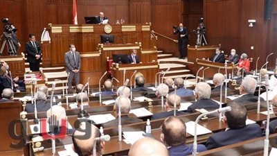 اليوم.. مجلس الشيوخ يشكل لجانه النوعية