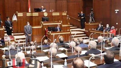 التشكيل الكامل للجان مجلس الشيوخ قبل إجراء انتخابات هيئات مكاتبها