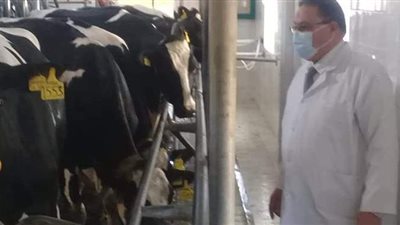 تحصين ١٦٢ألف رأس ماشية ضد الحمة القلاعية والوادي المتصدع في الدقهلية