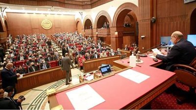 عبد الخالق عياد رئيساً للجنة الطاقة بمجلس الشيوخ