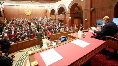 هاني سري الدين رئيسا للجنة الاقتصادية بمجلس الشيوخ