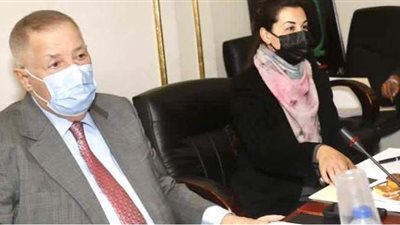 اتحاد المستثمرين يناقش مشروع تطوير الريف وفرص الاستثمار في سيناء