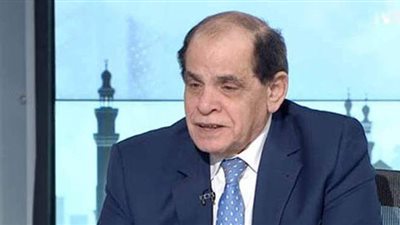 أستاذ قانون: الاستعانة بالمرأة في مجلس الدولة التزام دستوري