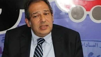 حسام الخولي: لجان مجلس الشيوخ الجهة المنوط بها وضع الأولويات