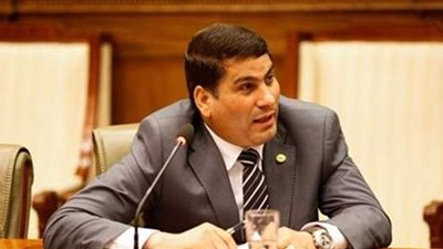 برلماني: قانون الأحوال الشخصية سيعيد الهدوء للأسرة المصرية