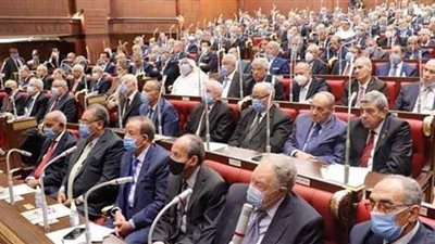 دراسة بيانات الوزراء والقوانين.. أبرز مهام مجلس الشيوخ ولجانه