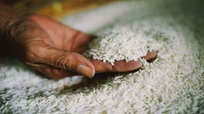 بيان عاجل من الحكومة بشأن ارتفاع أسعار الأرز التمويني