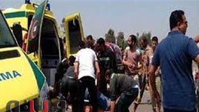 أستاذة جامعية تدهس طالبة بصيدلة المنيا عقب انتهاء الامتحانات