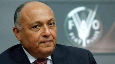 وزير الخارجية يبحث مع نظيره الروسي مستجدات القضية الفلسطينية والأوضاع في ليبيا