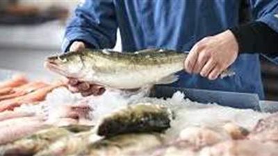 تفسير رؤية السمك في المنام وعلاقته بقرب إجابة دعائه من الله وتحقيق الأمنيات