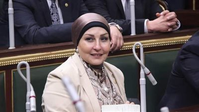 برلمانية: تطبيق نظام الأسواق الصغيرة يضع حدا لفوضى الباعة الجائلين