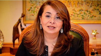 اختيار غادة والي عضوا في المشروع الأوروبي 