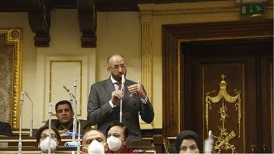 حسام المندوه: إعفاء أبناء الشهداء من مصروفات المدارس والجامعات الخاصة