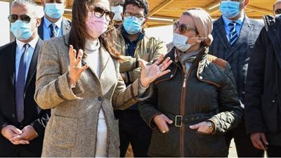 البيئة: إنشاء متحف مفتوح لتاريخ الحفريات بمحمية الغابة المتحجرة