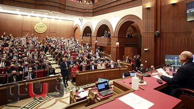 ٩ اختصاصات للجنة الخارجية والعربية والأفريقية بمجلس الشيوخ.. تعرف عليها