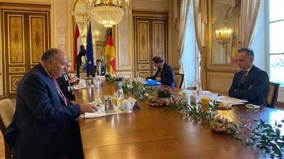 شكري يؤكد لنظيره الألماني أهمية انخراط الاتحاد الأوروبي فى ملف سد النهضة