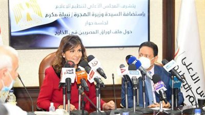 السفيرة نبيلة مكرم: كرامة المصري بالخارج مصانة