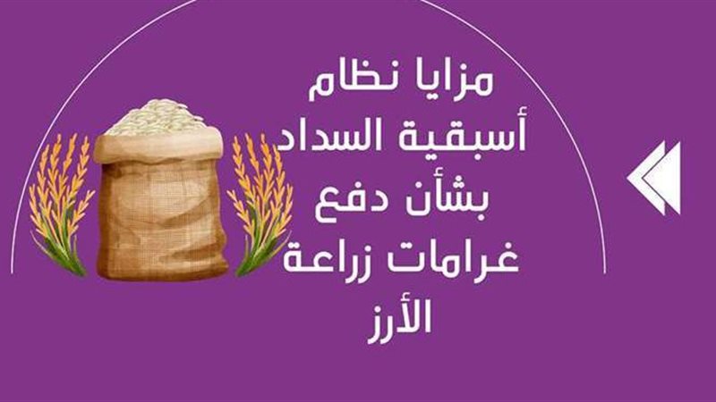 مصطفى مدبولي رئيس