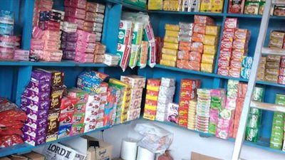 الدقهلية في المركز الأول.. تنفيذ 450 مشروعا بتكلفة 6 مليون جنيه ضمن حياة كريمة