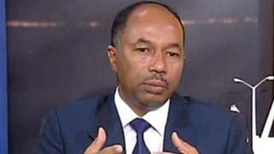 د. عادل عبد العزيز الفكي يكتب: لماذا مصر الشريك الإستراتيجي الأمثل للسودان؟