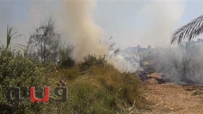 15 حالة حرق مخلفات القصب بزراعات الأقصر