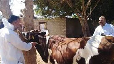 تحصين أكثر من 5.4 مليون جرعة ضد مرض الحمى القلاعية الوادي المتصدع