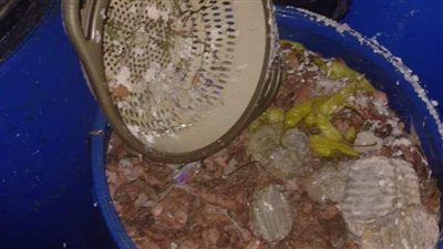 محاضر بالجملة بحملات التموينية في الإسكندرية