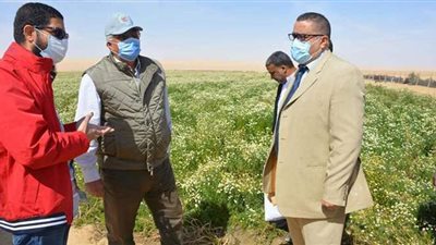 محافظ الوادي الجديد يتفقد مشروع إنتاج النباتات العطرية بالفرافرة