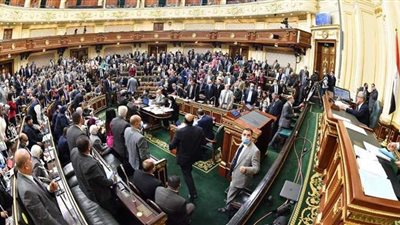 «حقوق إنسان النواب» تدعو الغرب لفتح قنوات مع مصر لمعرفة الحقيقة