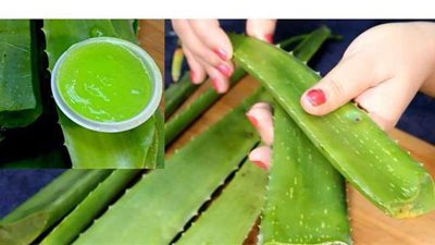 8 فوائد مذهلة للصبار للحفاظ على الشعر والبشرة