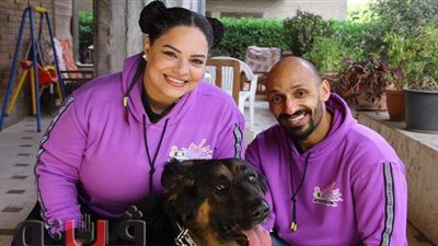 من مشوار العيادة لـ«الفسحة».. «أليفكم باكسي» خدمة توصيل الحيوانات الأليفة | فيديو