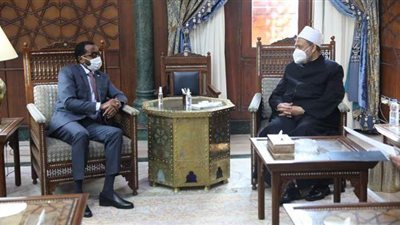 الإمام الأكبر: الأزهر لا يدخر جهدا في سبيل الارتقاء بالتعليم في أفريقيا