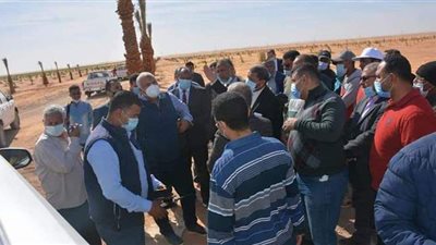 محافظ الوادى الجديد يتفقد مزرعة نخيل على مساحة ٣٠٠٠ فدان