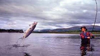 تفسير حلم الصيد في المنام وعلاقته بالشر والحسد والمال الحرام