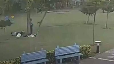 فيديو مرعب.. اختبأوا تحت شجرة من المطر الغزير فصعقهم البرق