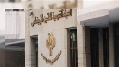 التأمينات الاجتماعية تقرر إرجاء إجراءات الحجز الإدارى على المنشآت السياحية