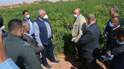 محافظ الوادي الجديد يتفقد مشروعات زراعية بالداخلة