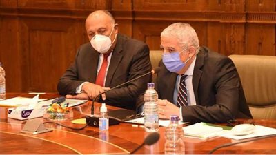 ماذا قال وزير الخارجية عن علاقة مصر بقطر؟