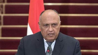 مصر تعزي الأردن في وفاة مرضى بمستشفى السلط