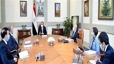 مستجدات المشروع القومي للبتلو تنفيذا لتكليفات الرئيس.. ضخ 3 مليارات جنيه الأبرز