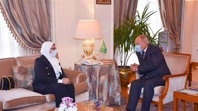 وزيرة الصحة تبحث مع أمين الجامعة العربية سبل استمرار تقديم الدعم الطبي للأشقاء