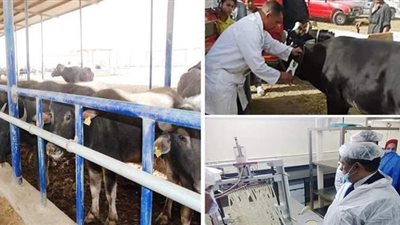 مستجدات إنشاء وتطوير مراكز الألبان تنفيذاً لتكليف الرئيس