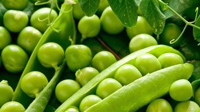 استعدادا لشهر رمضان.. أفضل وأسرع طريقة لتخزين البسلة