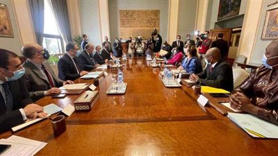 جلسة مباحثات بين شكري ونظيره الغيني لدفع التعاون الثنائي ومناقشة القضايا القارية