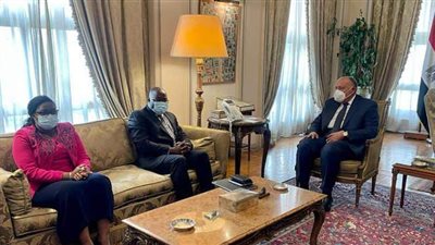 وزير الخارجية ونظيره الغيني يبحثان ملف سد النهضة