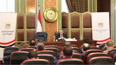 العليا لحقوق الإنسان: استجابة مجلس الدولة السريعة للتوجيهات الرئاسية بالاستعانة بالقاضيات تعزز تمكين المرأة