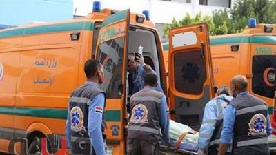 بالأسماء.. مصرع 2 وإصابة 9 في حادث تصادم سيارتين على صحراوي الأقصر