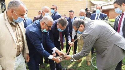 سعفان ومحافظ المنوفية يزرعان 1500 شجرة زيتون